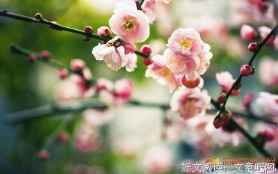 描写若隐若现的语句摘抄