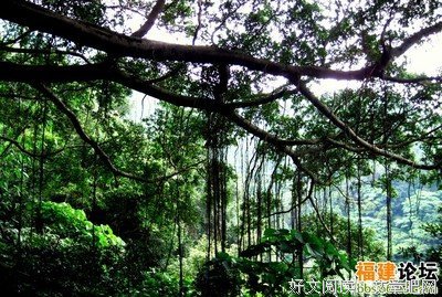文乡揽胜|白云岩有一种风景叫耍岩