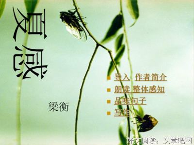 关于梁衡的语句