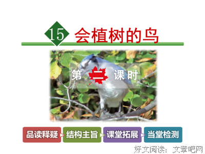 关于卡西的语句