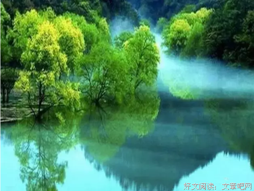 让心，静一静（年度美文）
