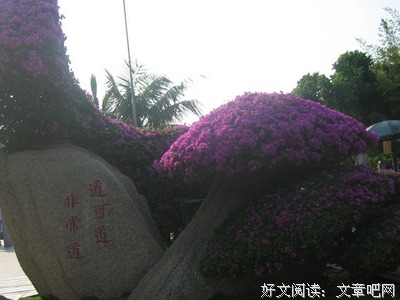 老庄之道非常道，人生并不如梦