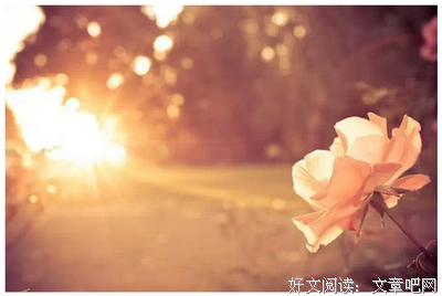 一个人最重要的能力是，过好自己的生活