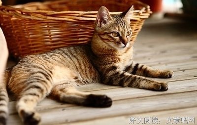 32、魏客的死缠烂打