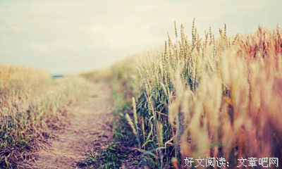 《广岛之恋》的读后感10篇