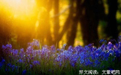 15条关于苍凉的经典语句