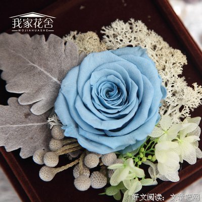花友说：我家附近又开了一家花店