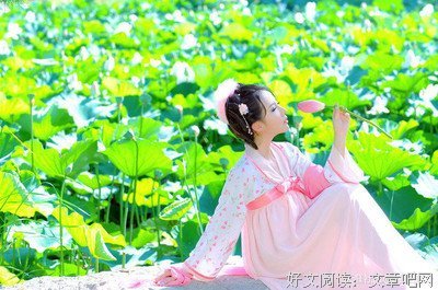 关于佳妮的语句
