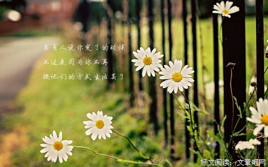 关于经常的唯美语录