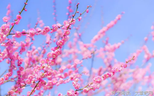 面向大海，不问春暖花开