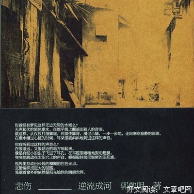 《且把年华赠天下》经典读后感10篇