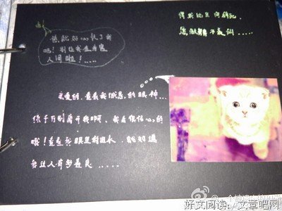 得不到的难放下，爱得深的难忘记