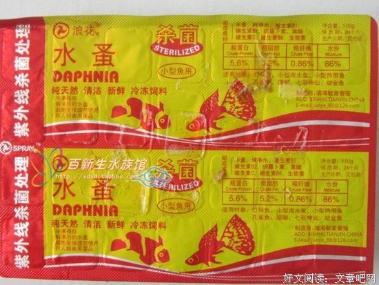 《冰冻蜘蛛》观后感10篇