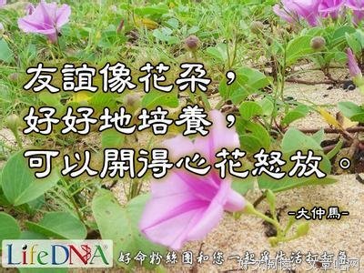 最经典的小仲马名言大全