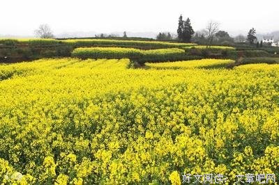 最经典的《犀利仁师》经典的句子大全