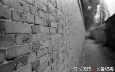 最全的《围城》经典语句大全