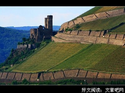 《河畔小城》的读后感10篇