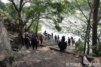 平林的语句摘抄_关于平林的语句