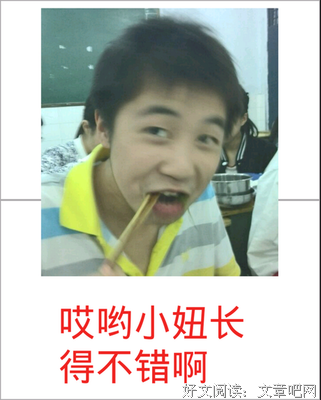 关于二狗的名言