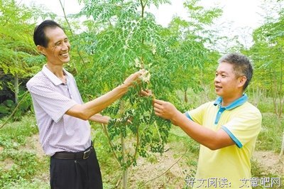 关于李宇的格言