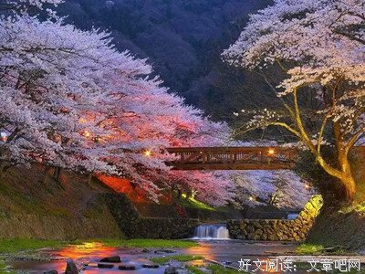牵手走过樱花雨