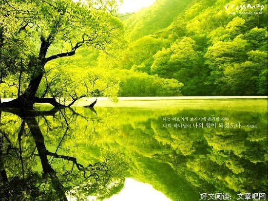 《跑步圣经》经典读后感10篇