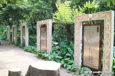 关于憨厚的名言