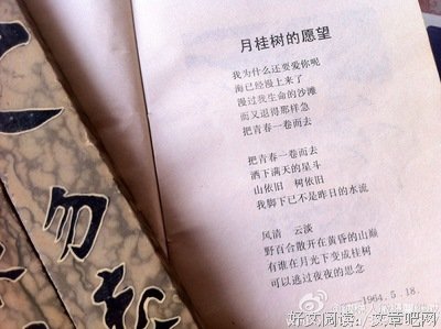 最新的《左耳》电影台词