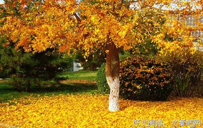 关于突然的语句