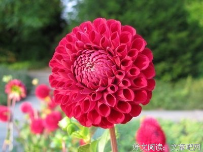 女生最嫌弃这5种职业的男生