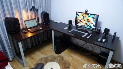 人生苦短，及时吸猫
