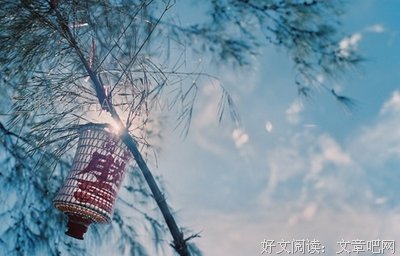 《胡金玉博客》语录摘抄大全