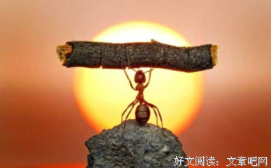 曾国藩：这3件事，决定了人和人的差距