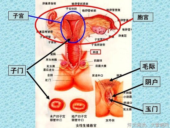 女.人是爱你还是玩.你?看这一处就知道了！
