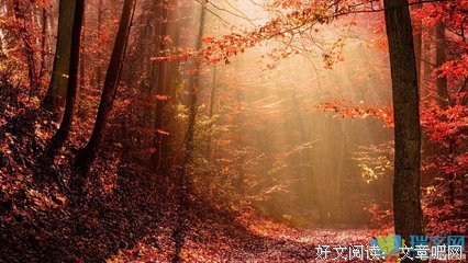 小的力量读后感10篇