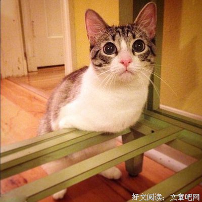 哪有天生的坚强啊！
