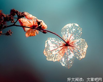 关于希伯来的格言