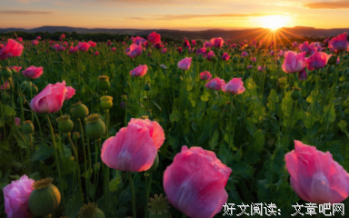 直爽的句子