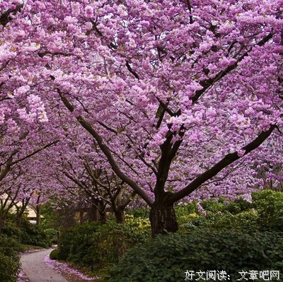 描写月凌的经典句子