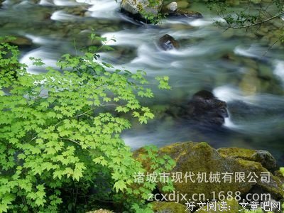 真地的名句_关于真地的名句