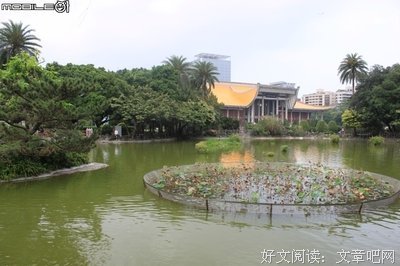 龙共舞的名言_关于龙共舞的名言