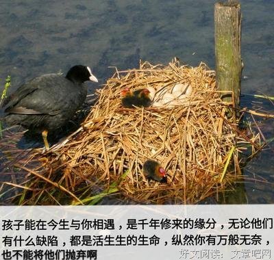一不做，二不休，三不猴，四不为，五不亲