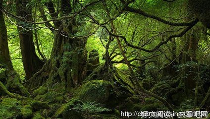 如何哄水瓶座开心
