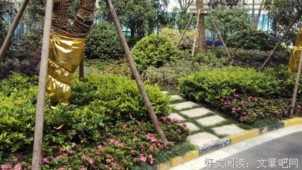 乡下堂弟误入别墅之死：被撞破的孽情难收场