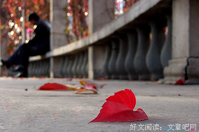 《树叶全集》经典读后感10篇