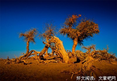 【九点晚祷】主啊，祢牧养我们的生命，祢眷顾我们的生活！