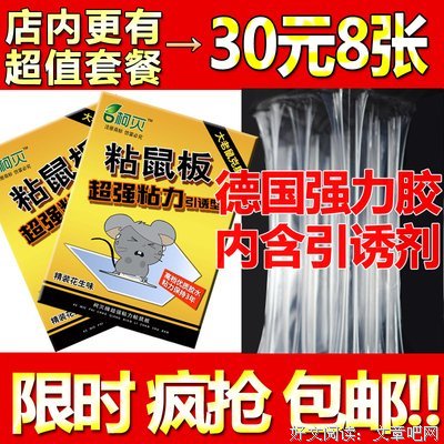 捕鼠器读后感10篇
