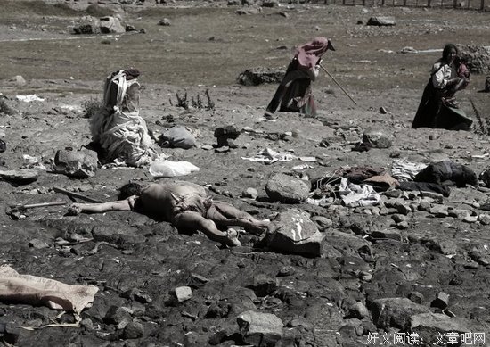 西藏生死书读后感10篇