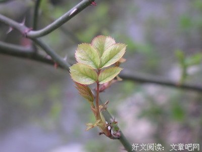 三月，愿你如阳光般温暖灿烂