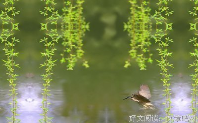 狂热的名句_关于狂热的名句